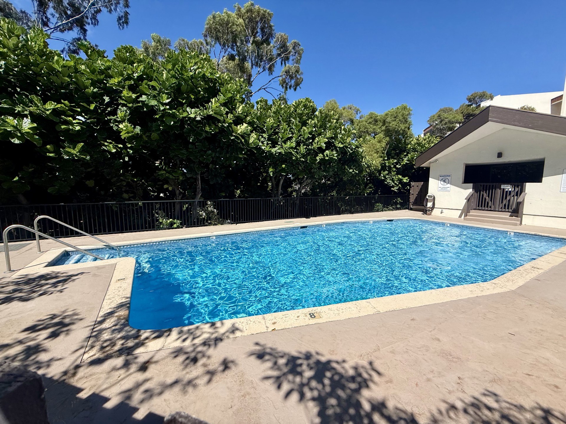 A small pool surrounded by trees and a fence.